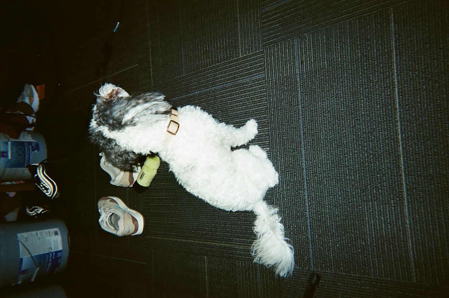 9 26 2023   12537102   Film 125371020007